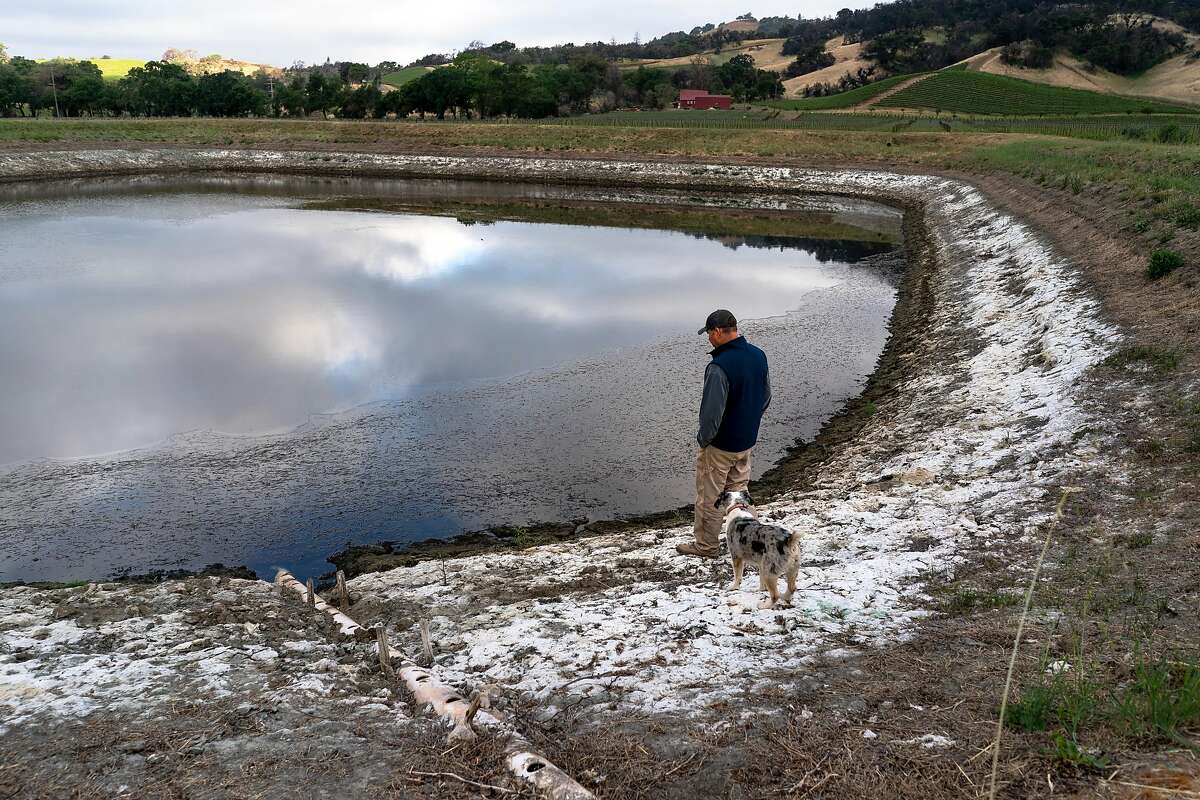 Bret Munselle, owner of the Munselle Vineyards, checks a reservoir in Geyserville. Regulators ordered many water rights holders in the Russian River watershed to stop drawing supplies.