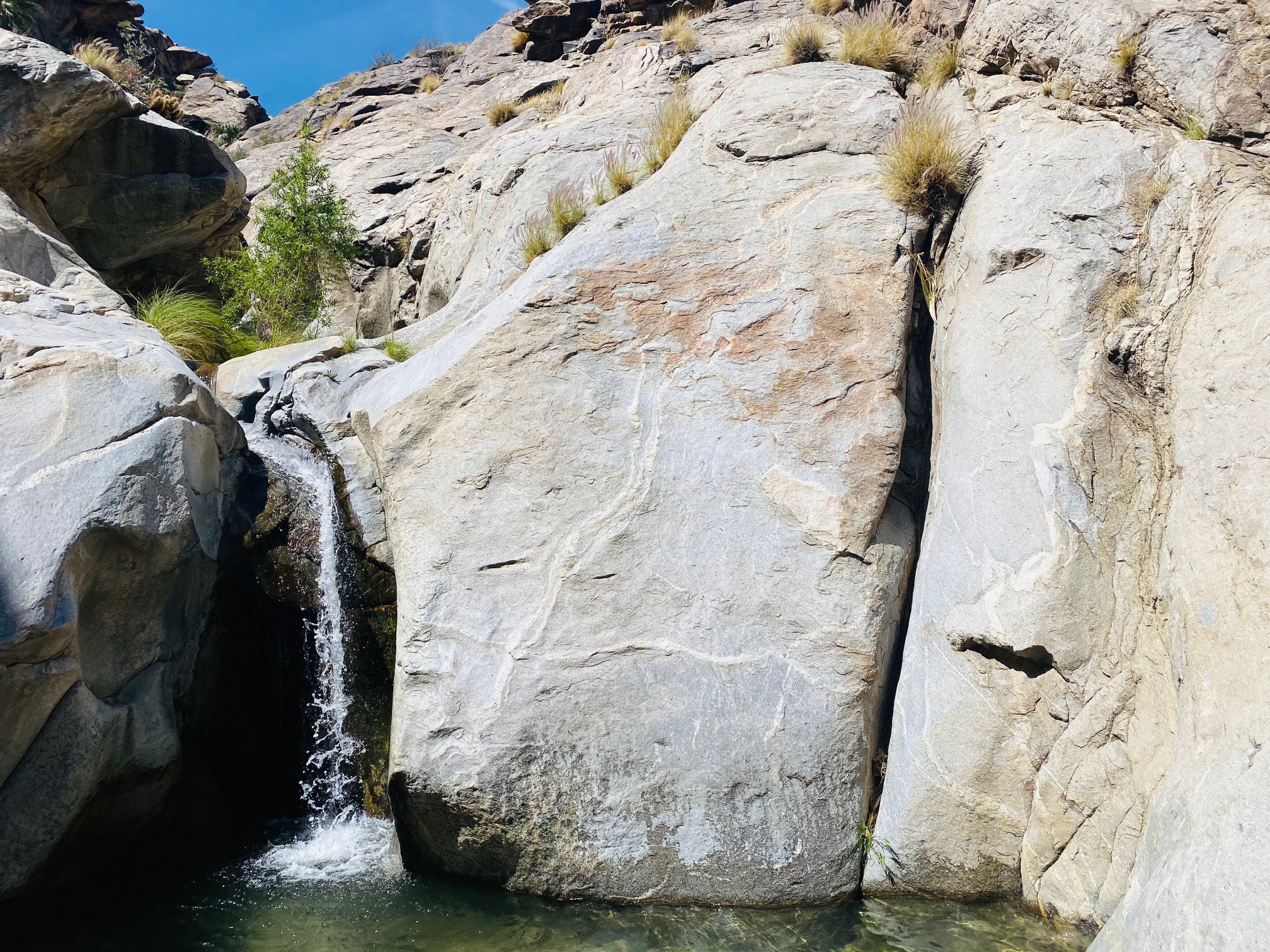 Murray Canyon Trail—a desert hike with a secret swimming hole, image size:2016x1512
