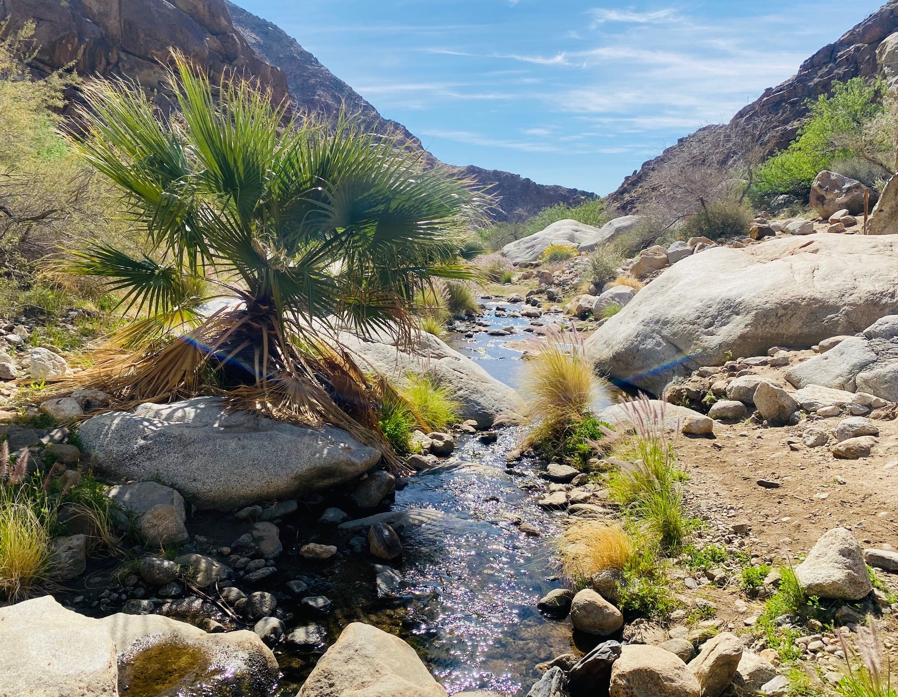 I hiked to a surreal California desert oasis, then two more. Now I must