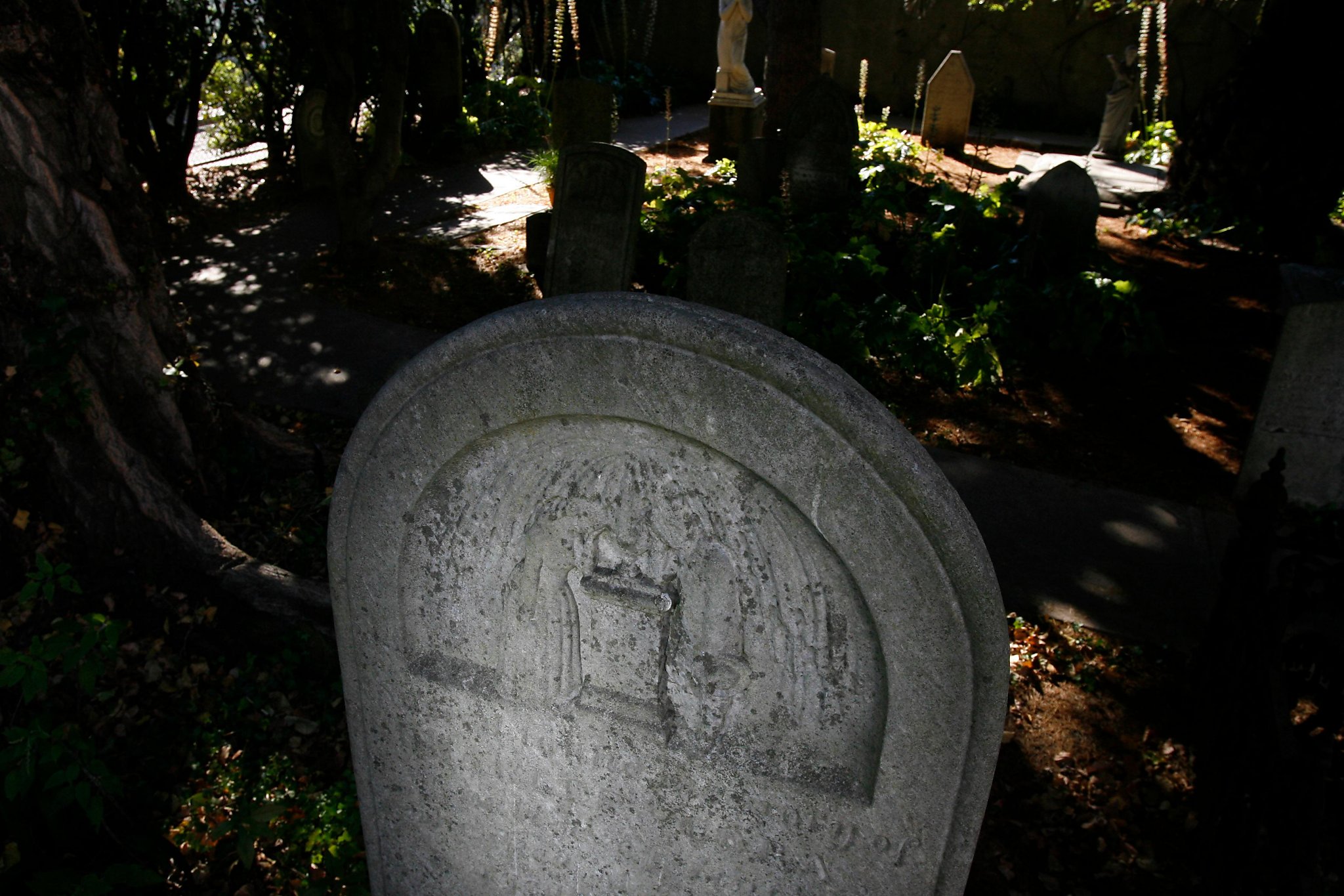 Tucked away in an S.F. cemetery, an intriguing tale of the early city - Vimarsana News
