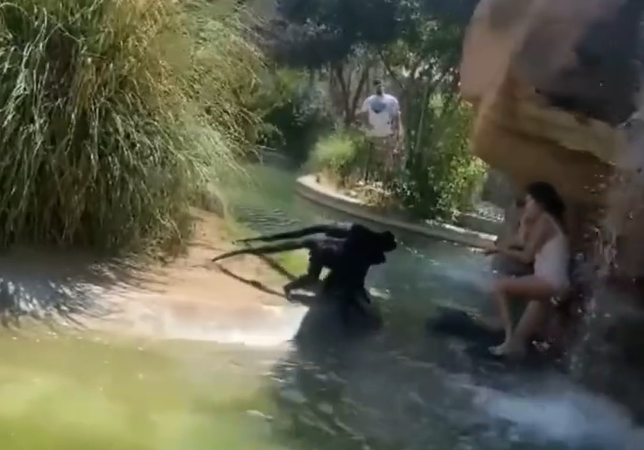 El Paso Zoo patron fired from law firm after feeding Flamin' Hot Cheetos to spider monkeys - Vimarsana News