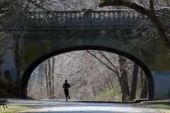 Woman found dead in Edgewood Park in New Haven, police say