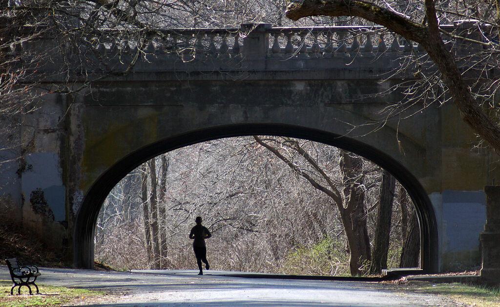 Woman found dead in Edgewood Park in New Haven, police say