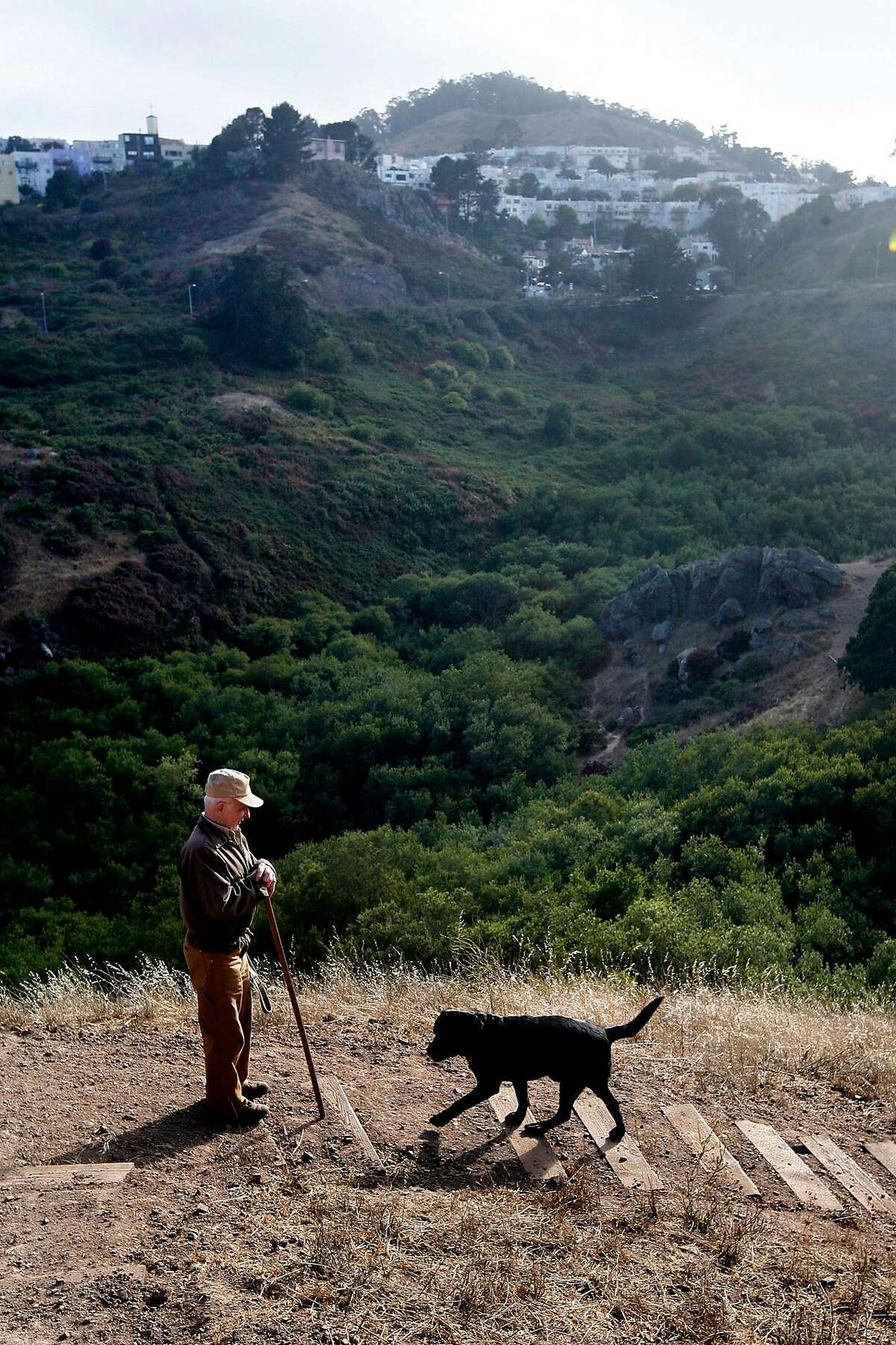 Leo Hainzl, who took daily 6-mile walks with his dogs in Glen Canyon Park, visits the park with his dog Fritz in 2008. Last year, he was slain while walking in the park with his dog Rip.