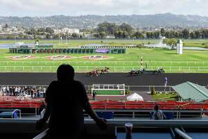 November election could make Golden Gate Fields a big Bay Area gambling destination