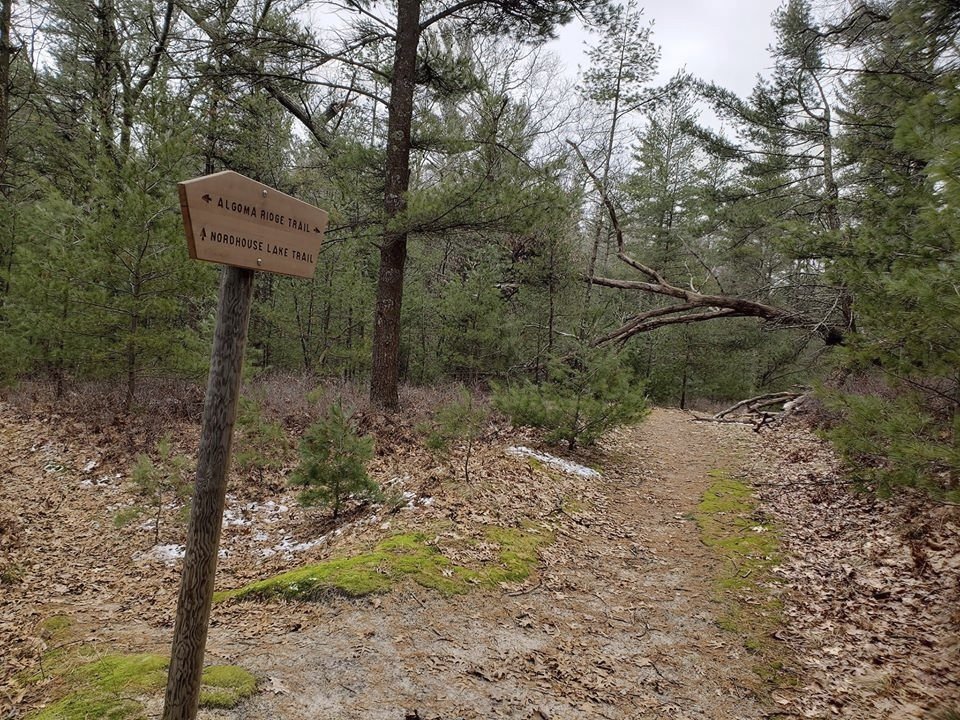 10 of the area’s best dog parks, petfriendly beaches