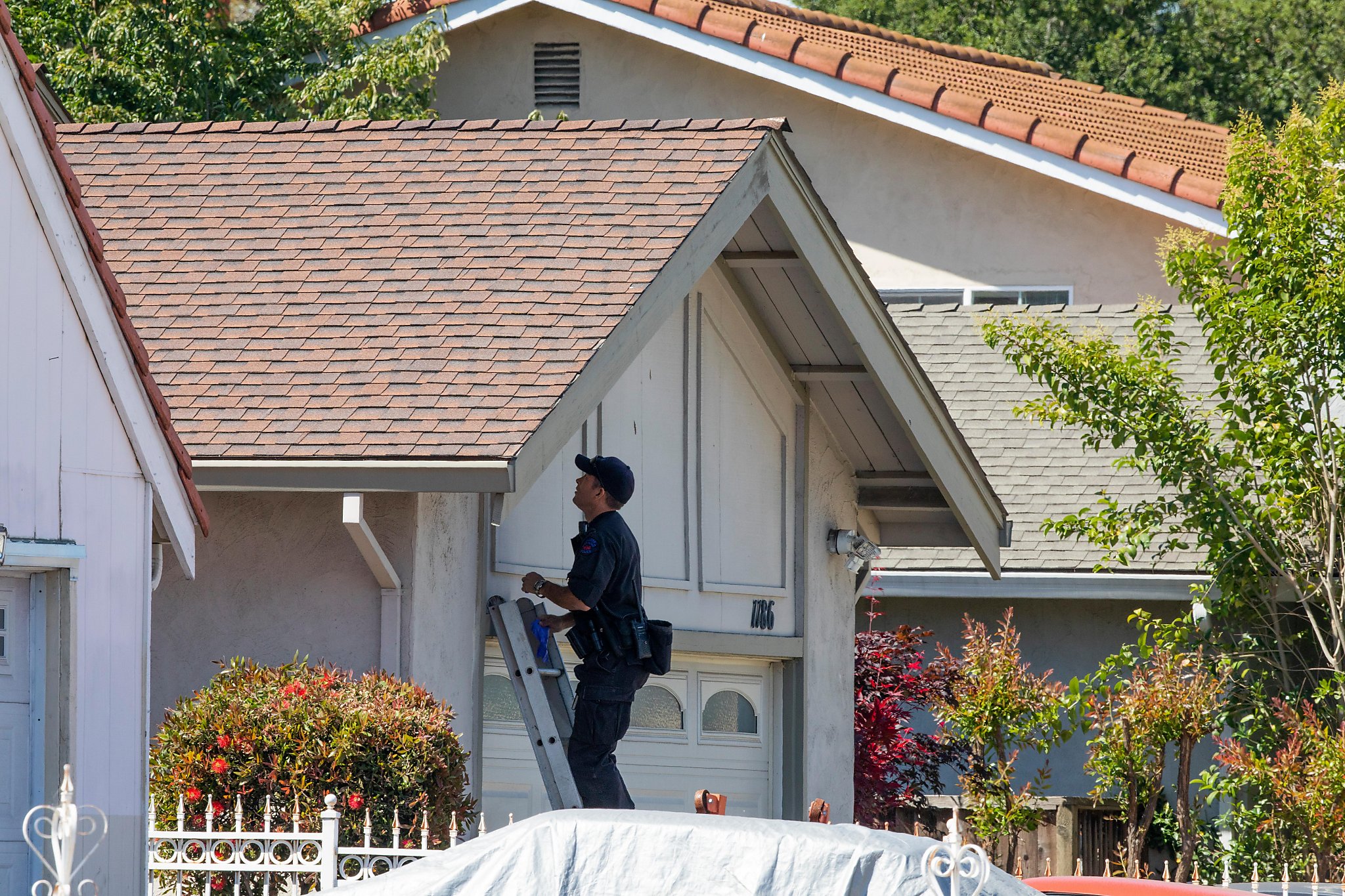 San Jose mass shooter's ex-girlfriend details sexual abuse - Vimarsana News