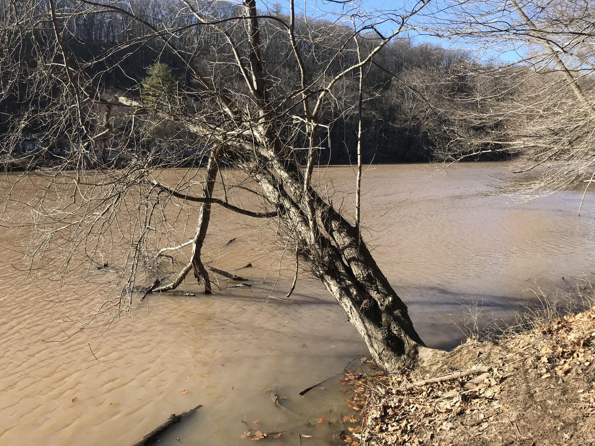 Turbidity concerns linger as major upgrade is planned for Ashokan Reservoir - Vimarsana News