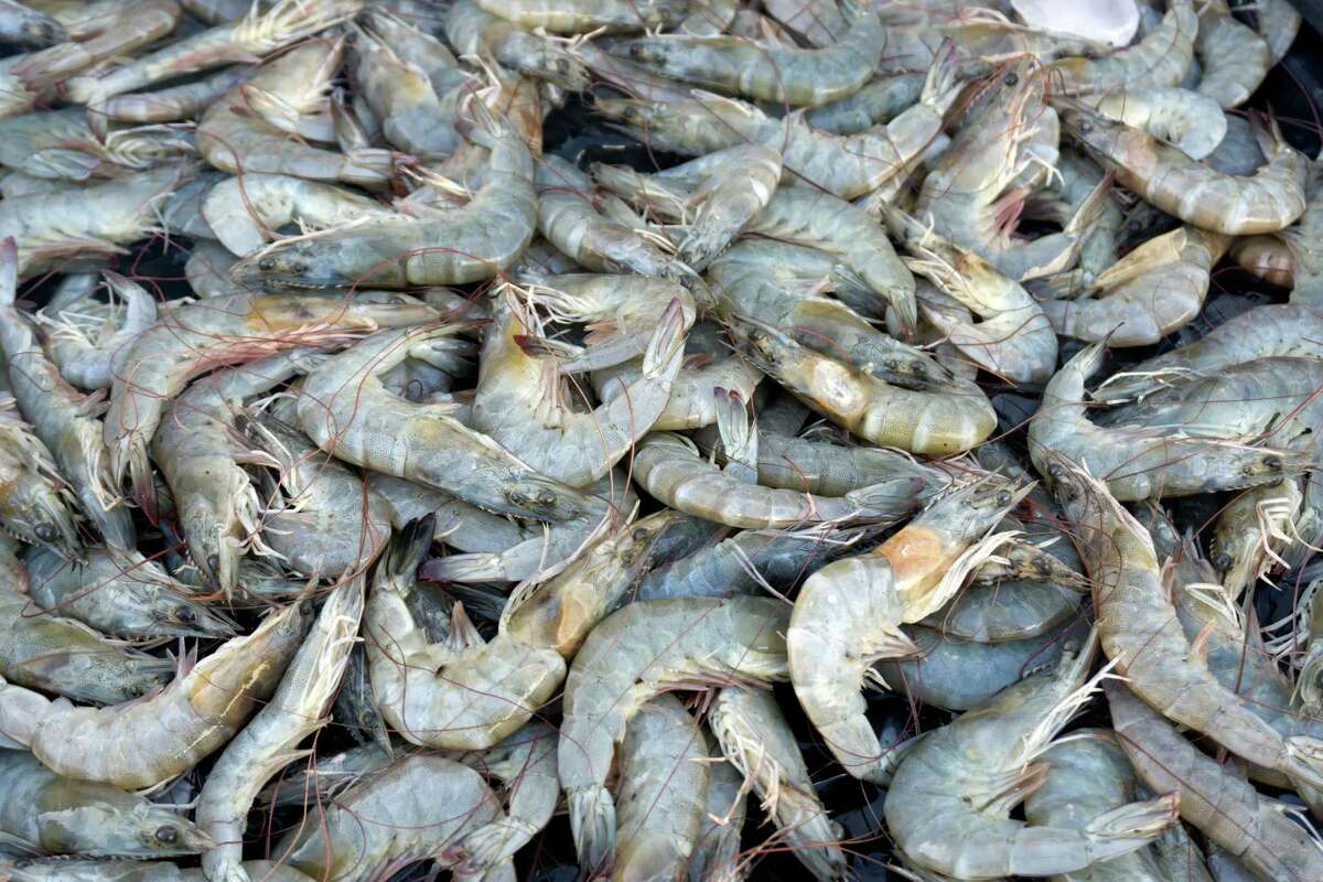 Where To Buy Fresh Gulf Shrimp Near Me