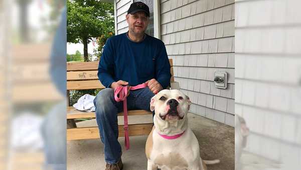'Our miracle': Dog missing for over a year reunited with owner