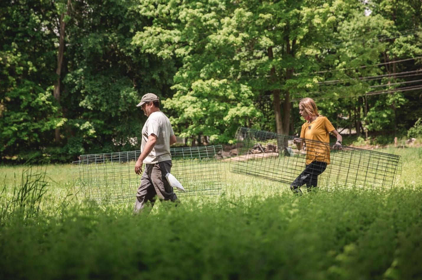 Wilton Land Conservation Trust, chestnut foundation establish orchard - Vimarsana News