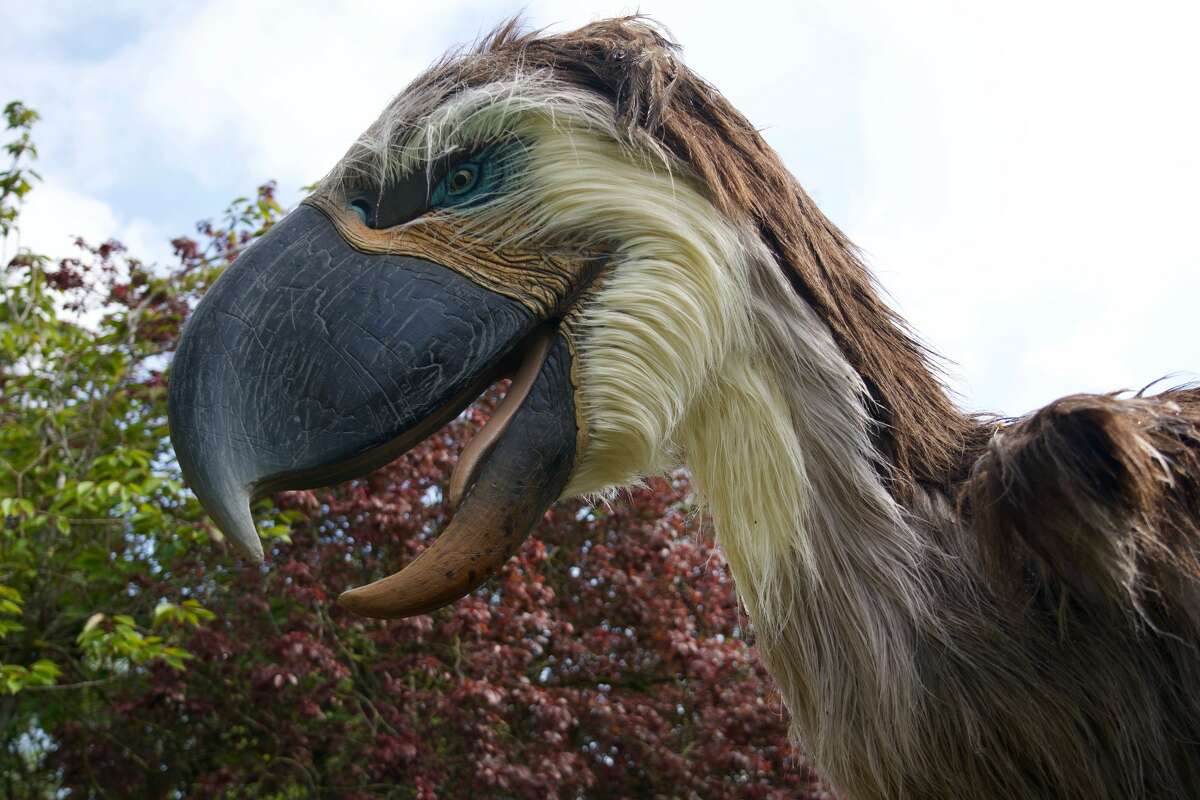 Real or fake? See for yourself at the Houston Zoo's Prehistoric Beasts exhibit.