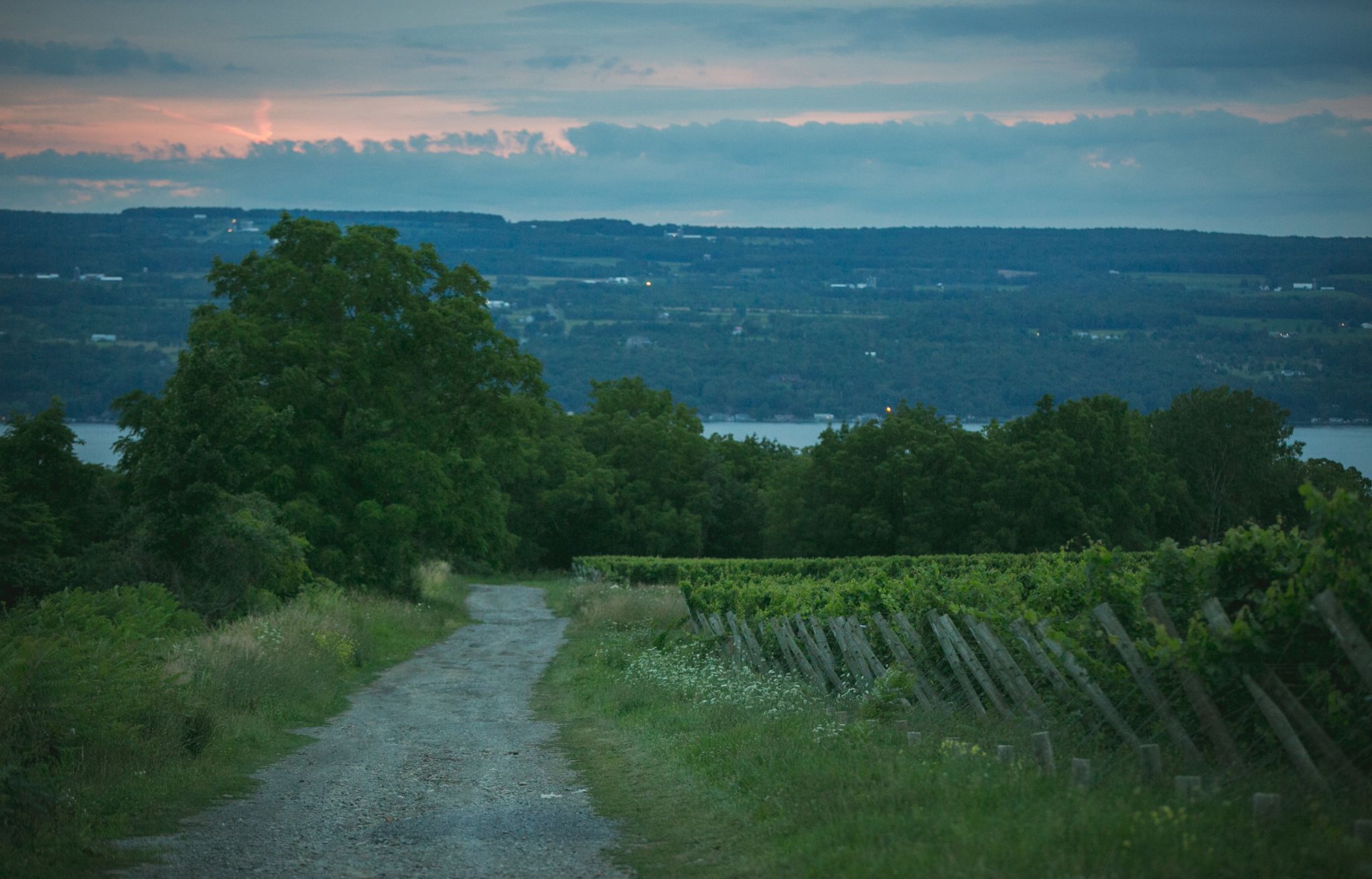 Seneca Lake, springboard for a Finger Lakes wine weekend - Vimarsana News