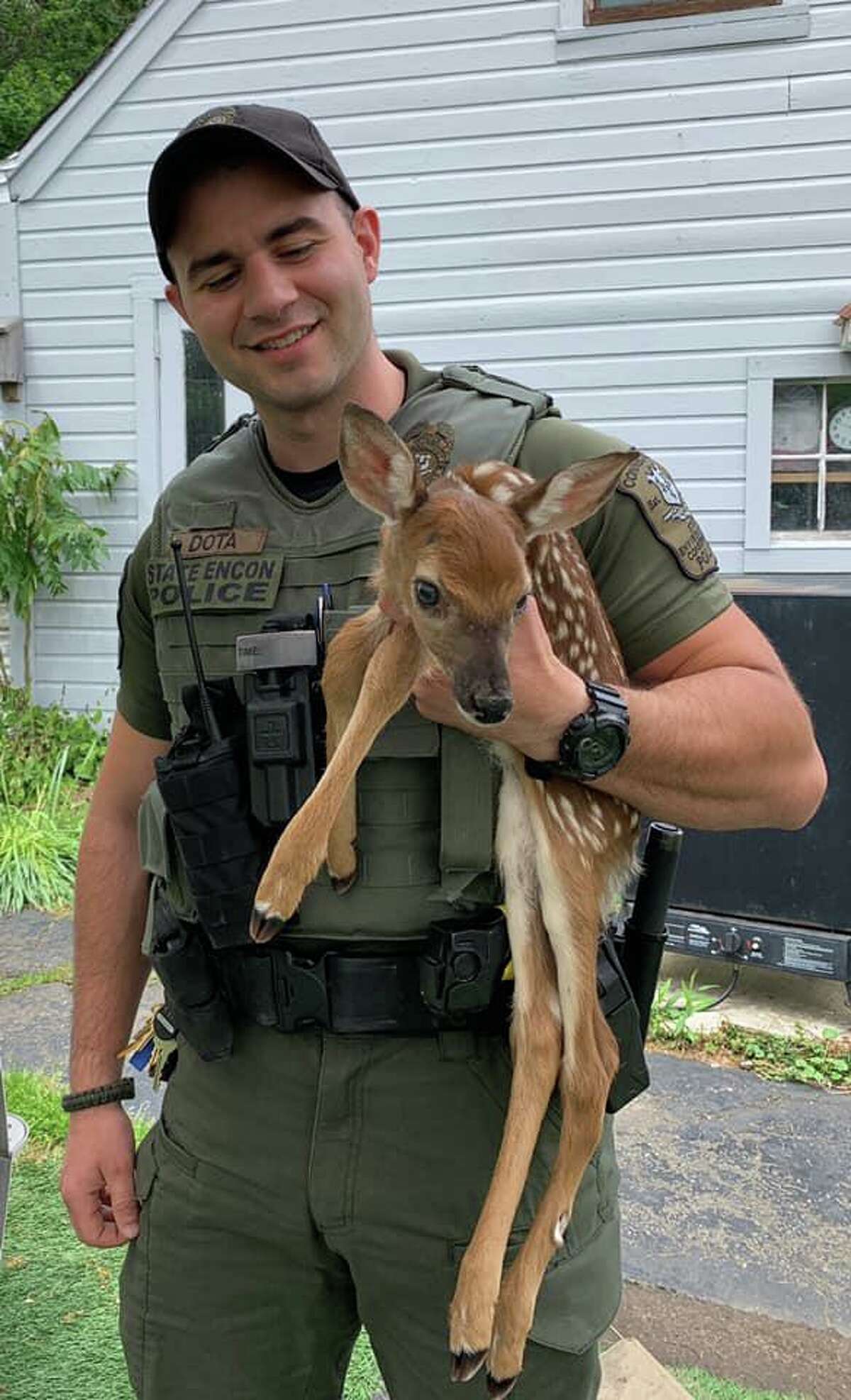 Connecticut State Environmental Conservation Police Officer Dota with a rescued deer fawn.