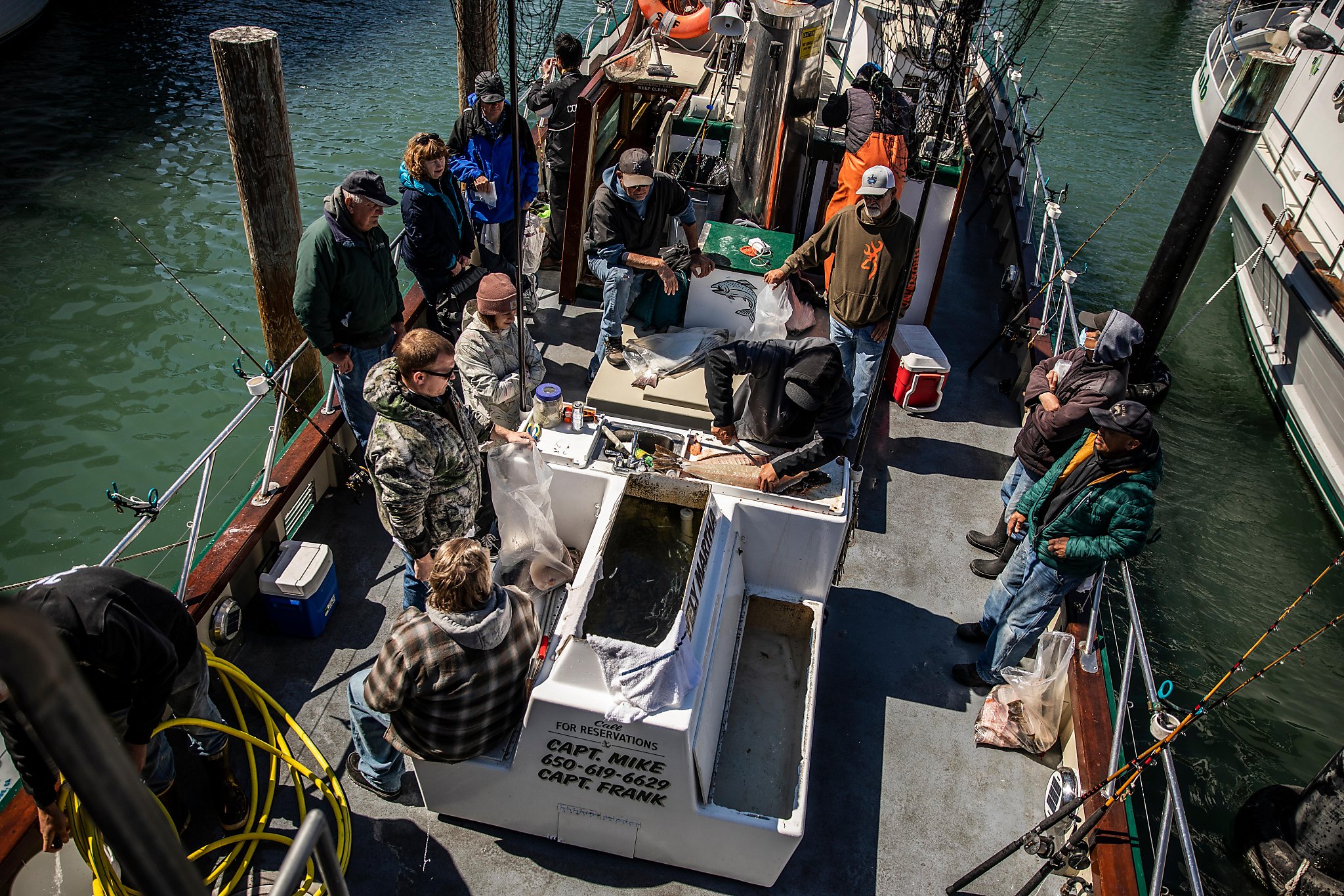 S.F. Bay's a busy place right now, as the halibut are biting like crazy - Vimarsana News