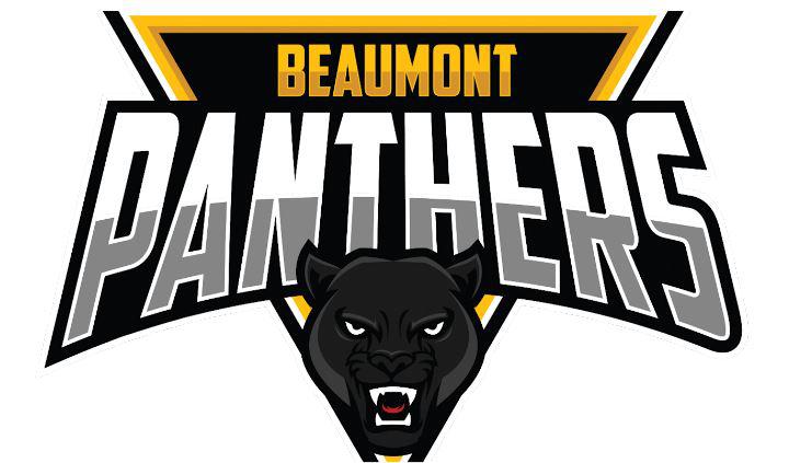 Beaumont could finally have a pro team