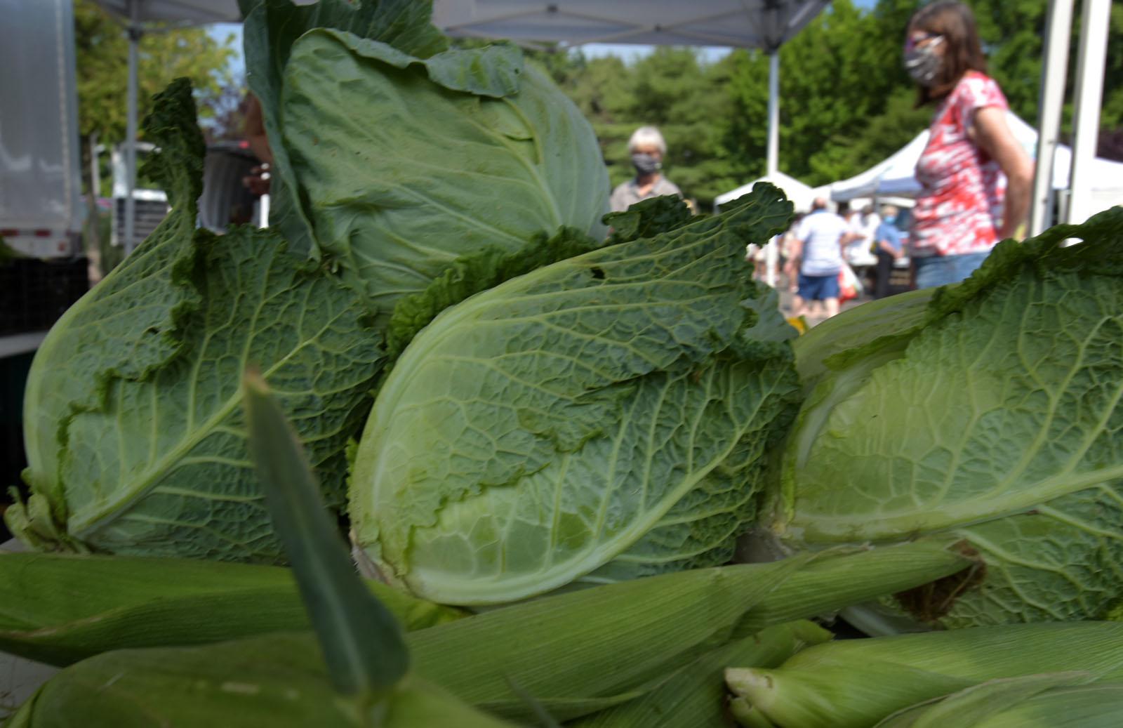 Darien Farmer's Market returns Wednesday - Vimarsana News