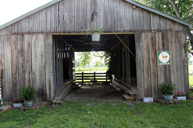 Lavender farm opens near Edwardsville - Vimarsana News