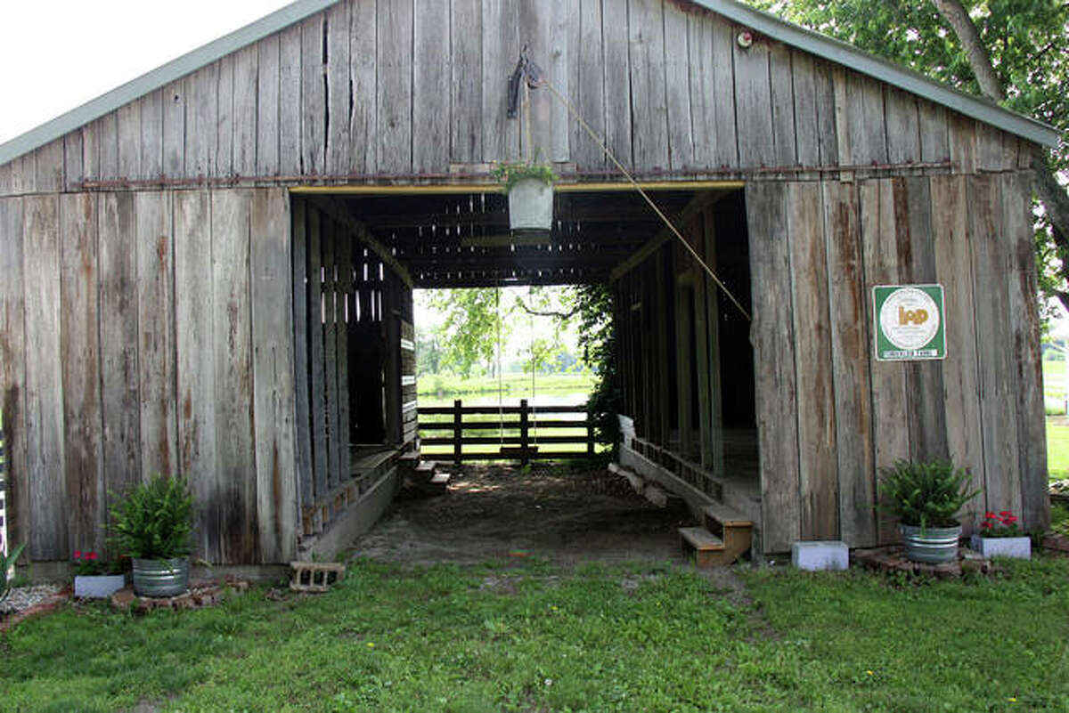 Lavender farm opens near Edwardsville