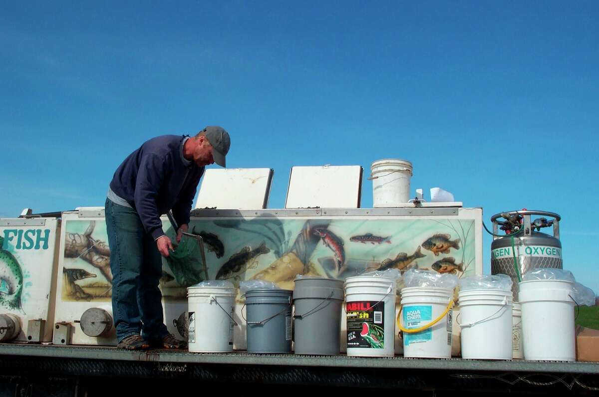 A Harrietta Hills Trout Farm fish truck distributes fish to new owners. (Courtesy/Mason-Lake Conservation District)