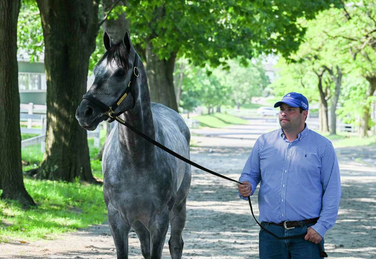 2021 Belmont Stakes winner Essential Quality with trainer Brad Cox at Belmont Park Sunday June 6, 2021 in Elmont, N.Y. . Photo Special to the Times Union by Skip Dickstein