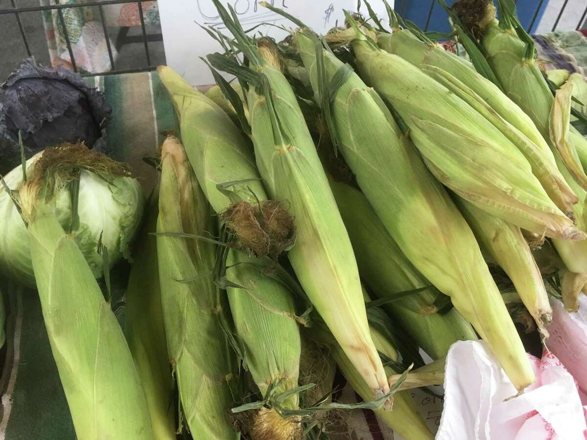 Keep sweet corn wrapped in their husks and plastic bags for up to three days.