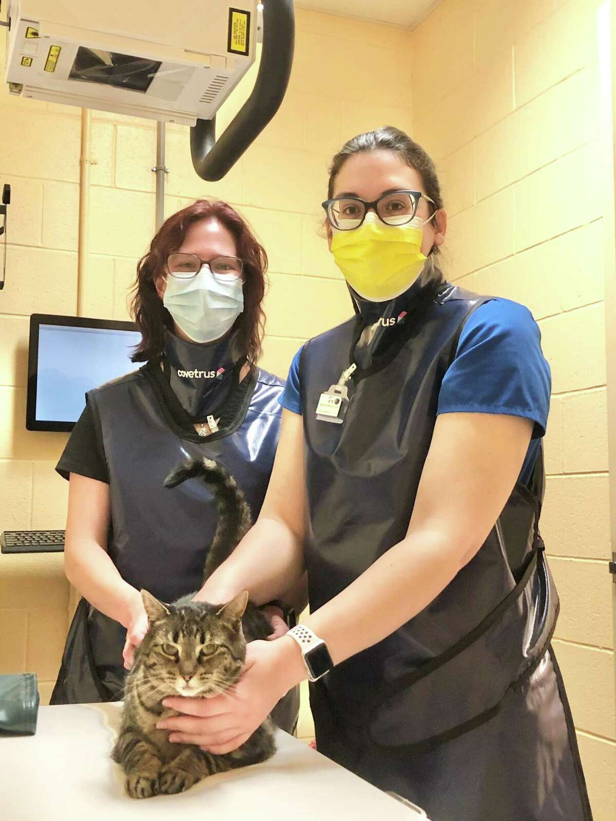 Veterinary technician Emma Delgado, medical assistant Stefanie Bolduc and Mila the kitty learn about the new X-ray machine recently installed at the Connecticut Humane Society's Westport location.