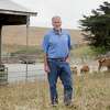 Albert Straus of Straus Family Creamery poses for a portrait at Silva Family Dairy in Tomales, Calif., in 2019. 