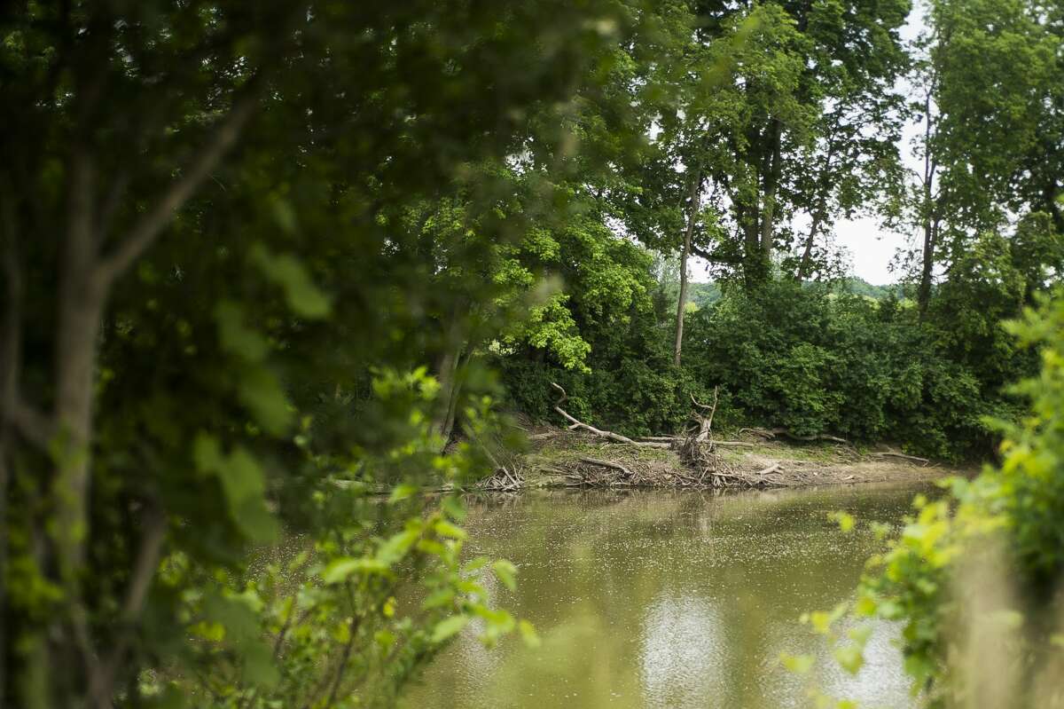Officers with the Midland Police Department were dispatched to the 2600 block of Tittabawassee River Road at 10:27 a.m. Saturday, June 5, 2021 to investigate a report of a body seen floating in the river. (Katy Kildee/kkildee@mdn.net)