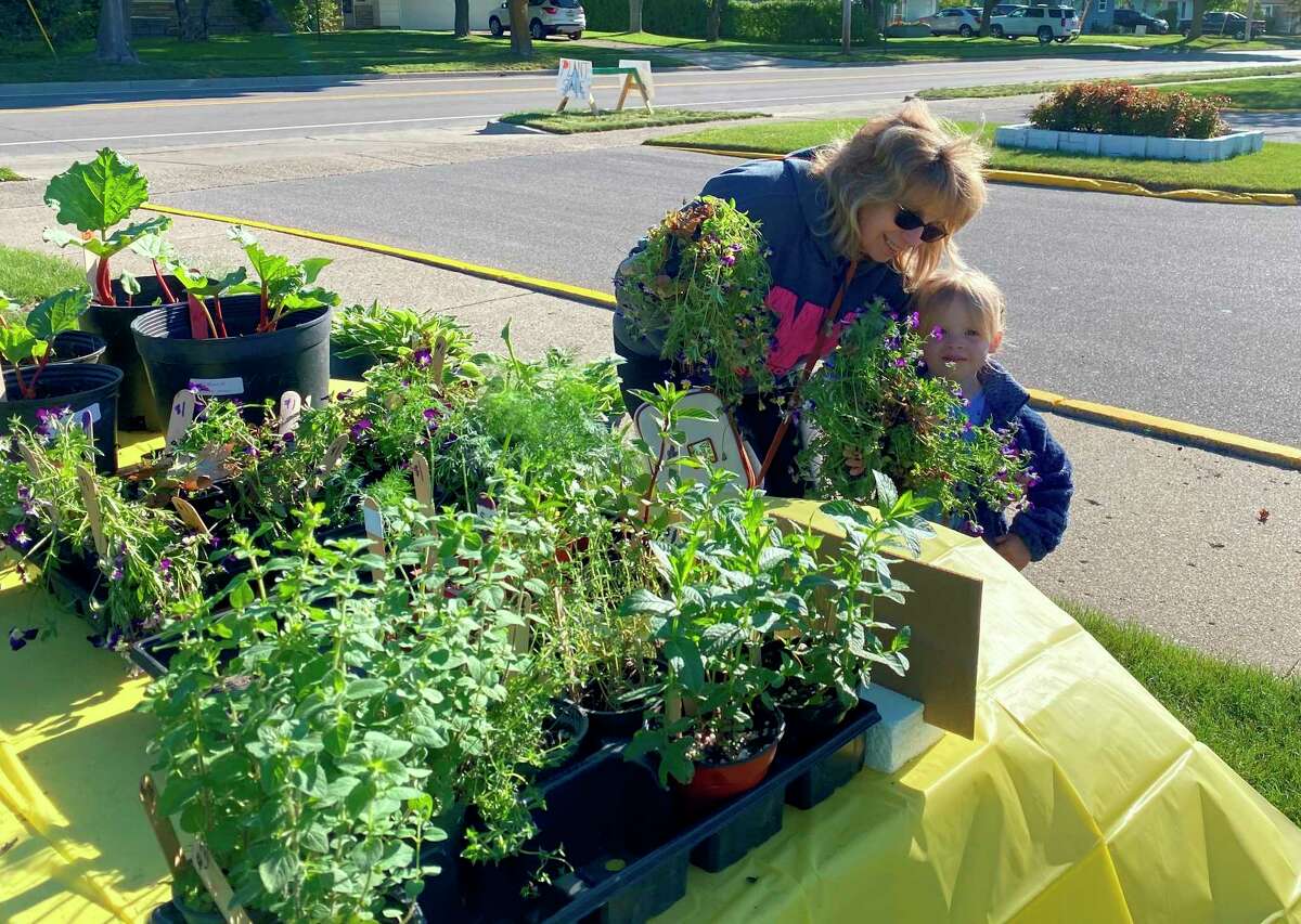 Garden club plant sale a success