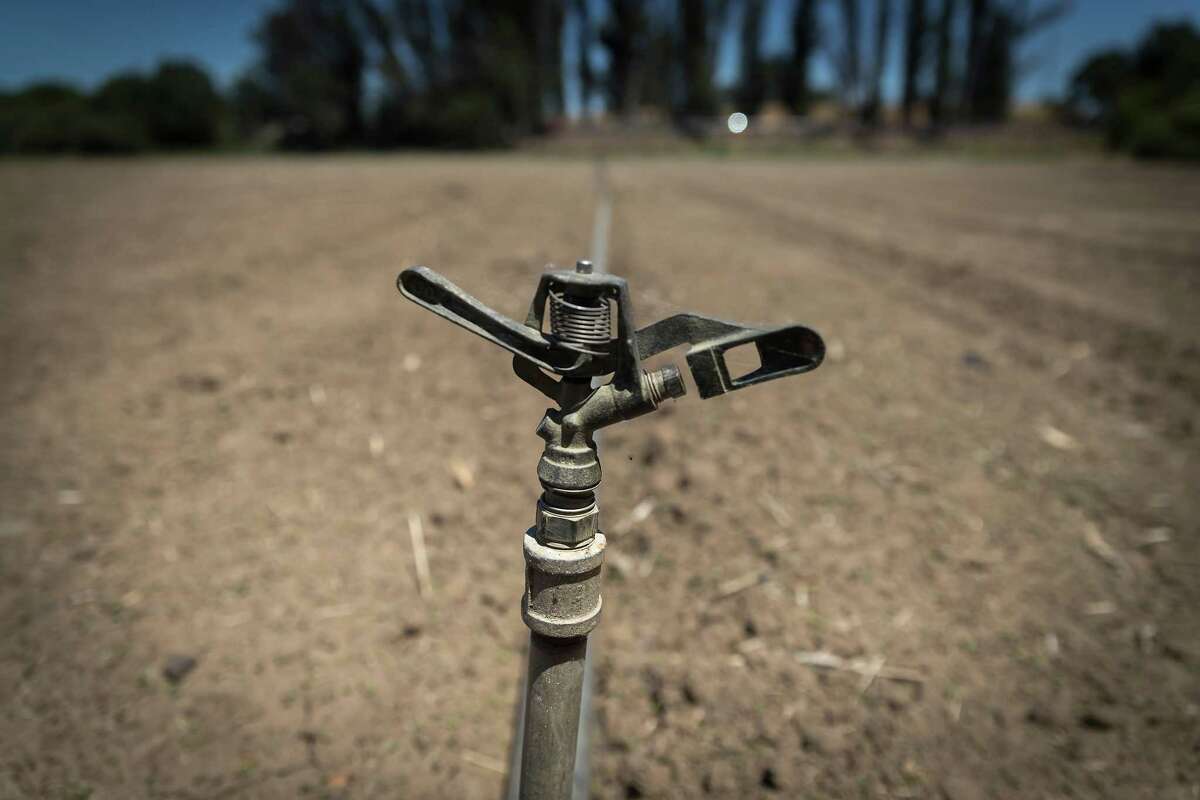 California’s farmers are already taking drastic measures to conserve water