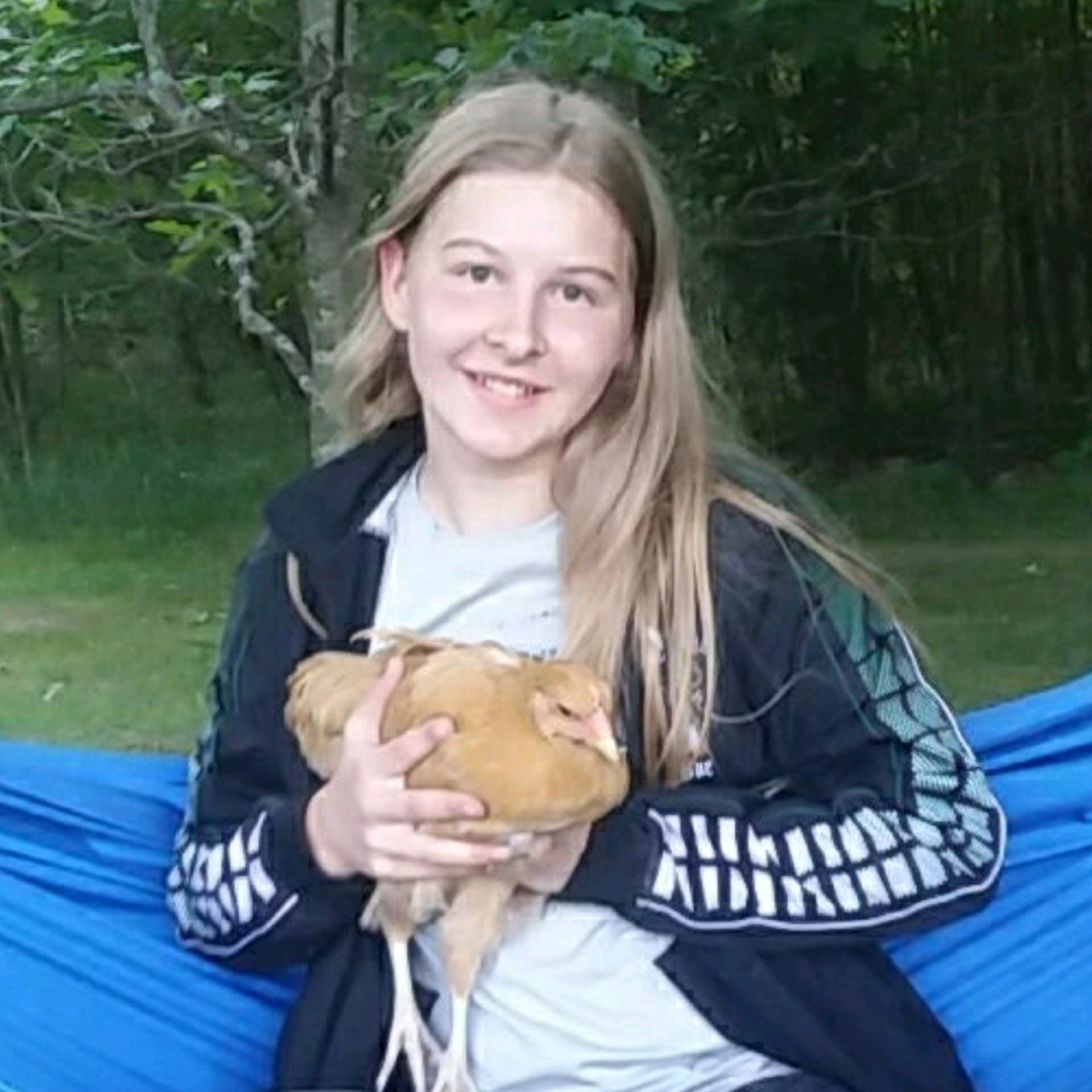 Pine River softball team falls in district finals