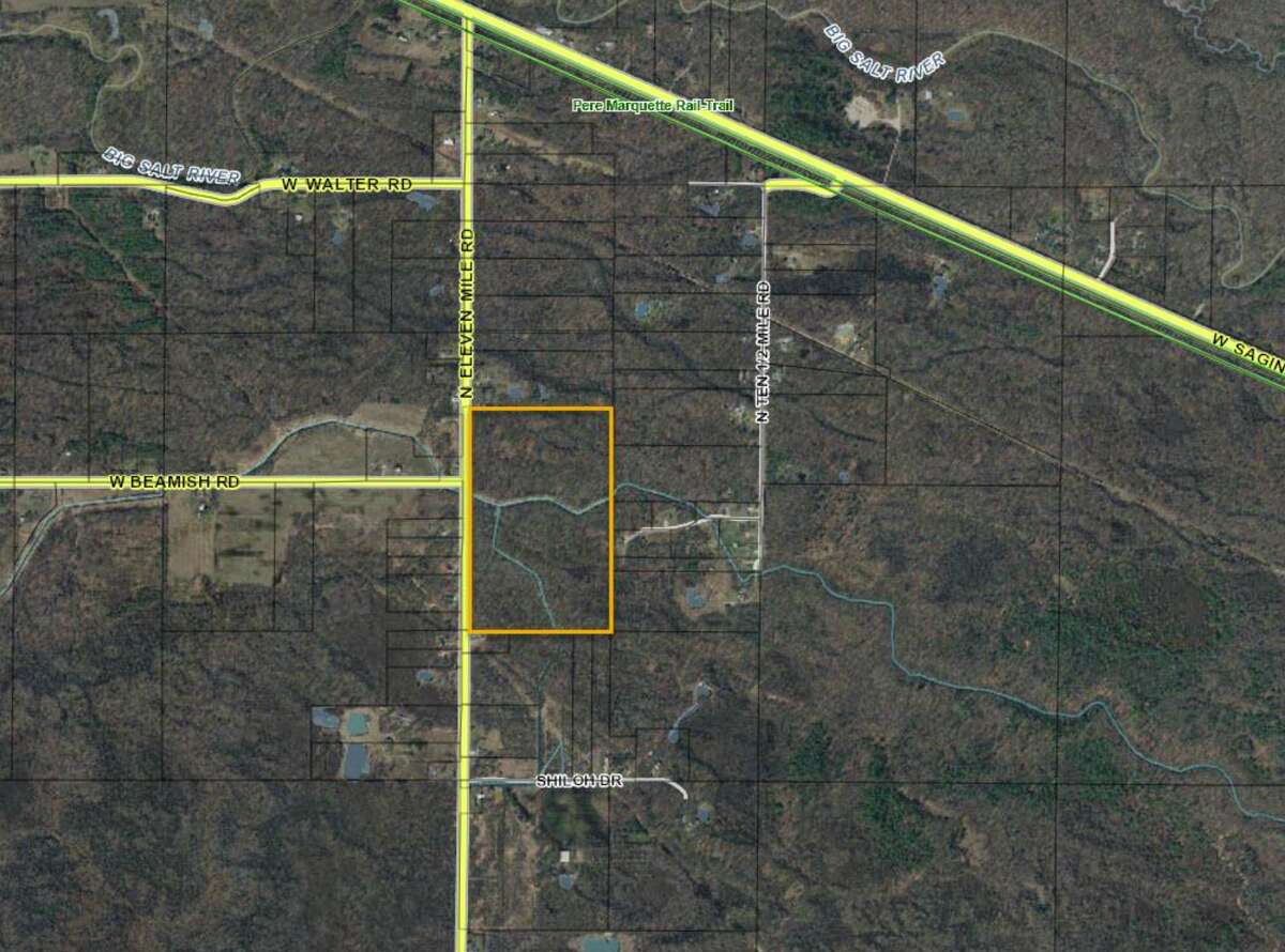 Going once, going twice Midland County property included in state