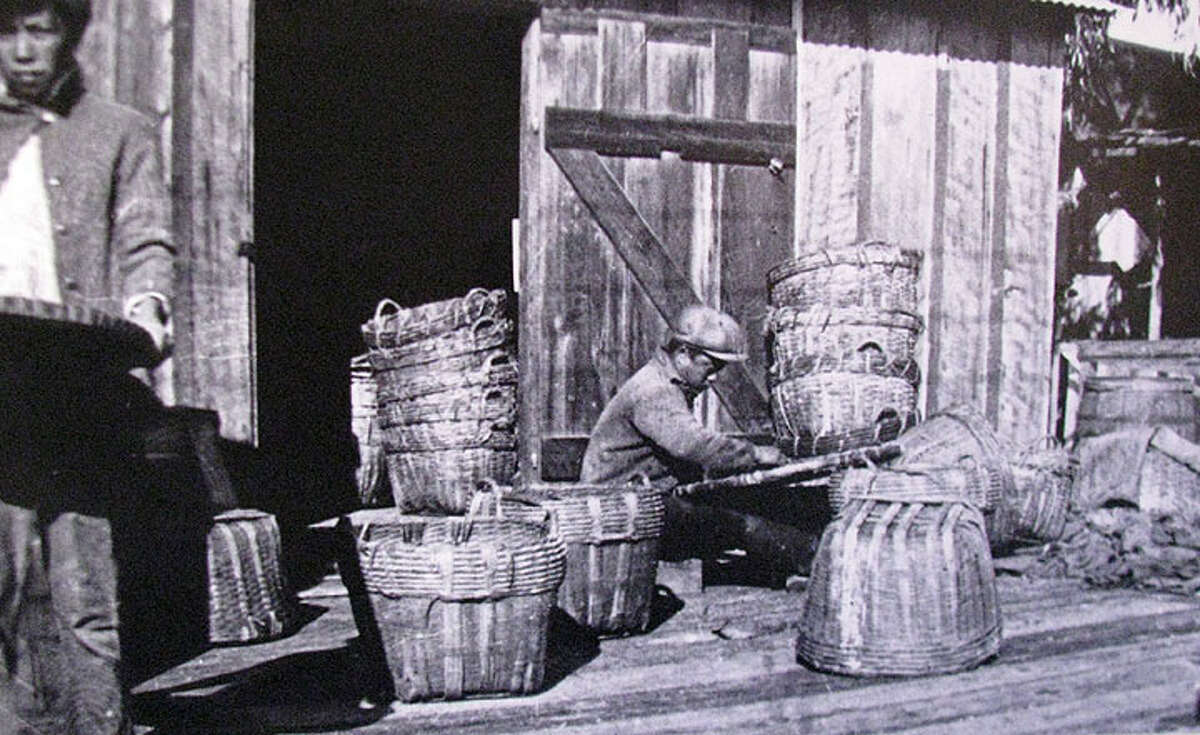 Archive photo of villager processing shrimp for shipment to China Camp Village, date unknown.