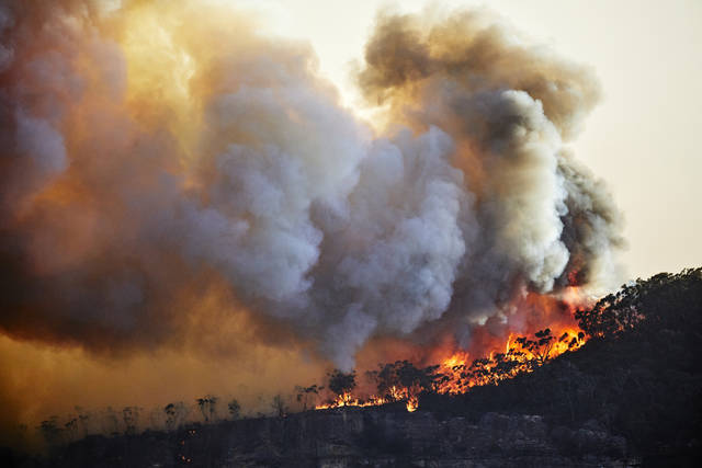 Commentary: EarthTalk by Roddy Scheer and Doug Moss - Wildfires' health risks linger - Vimarsana News