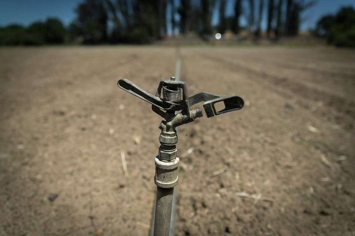 An irrigation sprinkler is shown in a field outside Santa Rosa. Because of the water shortage from the drought, the city is instituting a 20% reduction of water use.