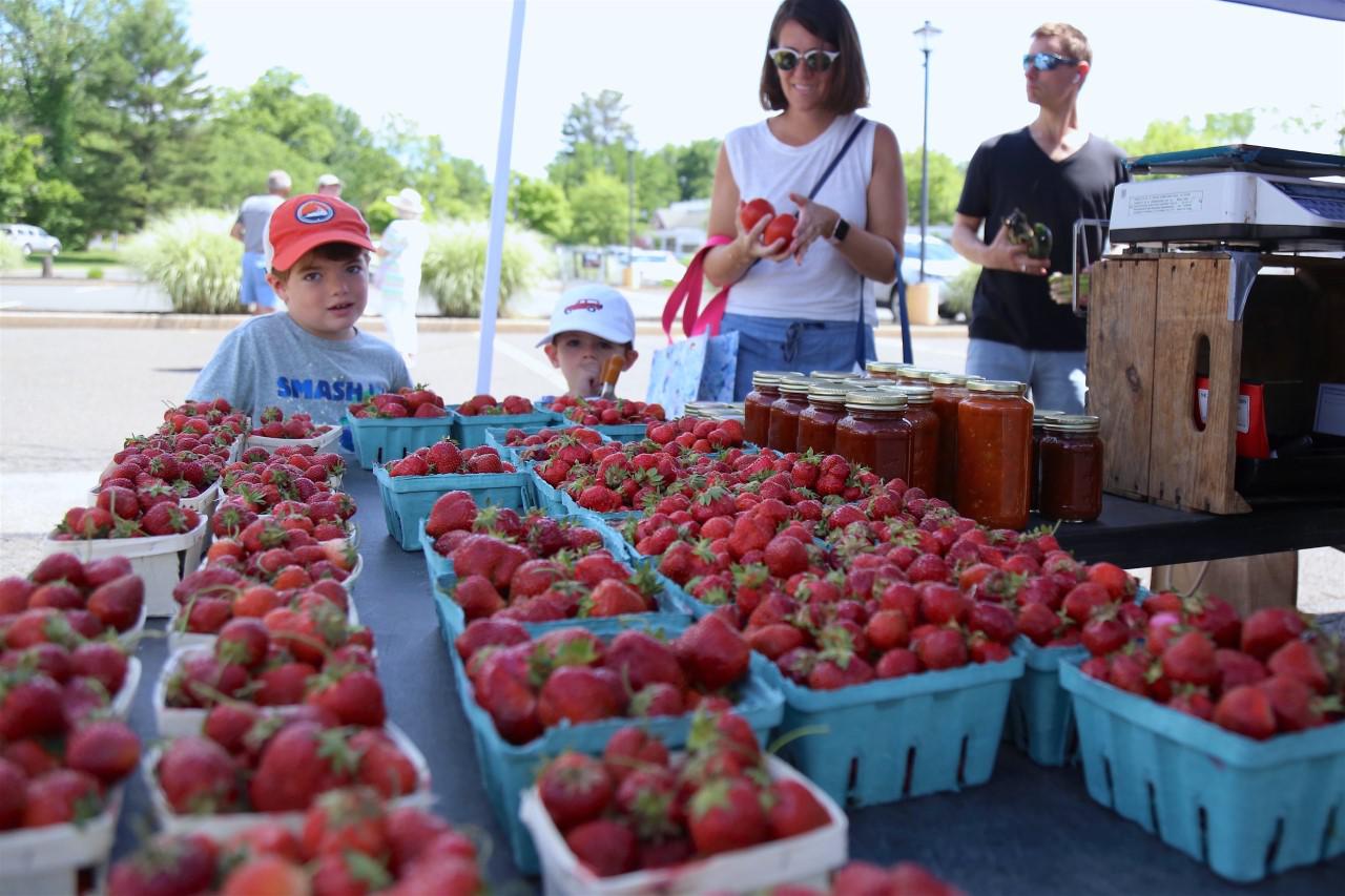 Fresh from the farm: Market makes return to Darien - Vimarsana News