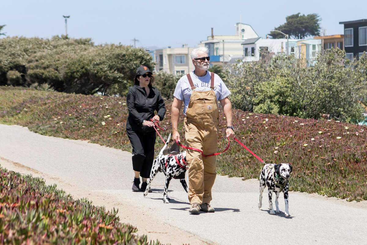 A couple walk their dogs along a sidewalk next to the Upper Great Highway in San Francisco, Calif. on June 7 2021. The road was closed to vehicular traffic early in the COVID-19 pandemic to provide a socially distanced outdoor space for nearby residents.