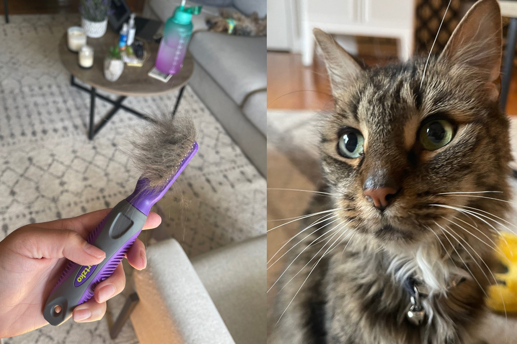 This 17 mat remover helped me get rid of the worst of my cat's matted fur