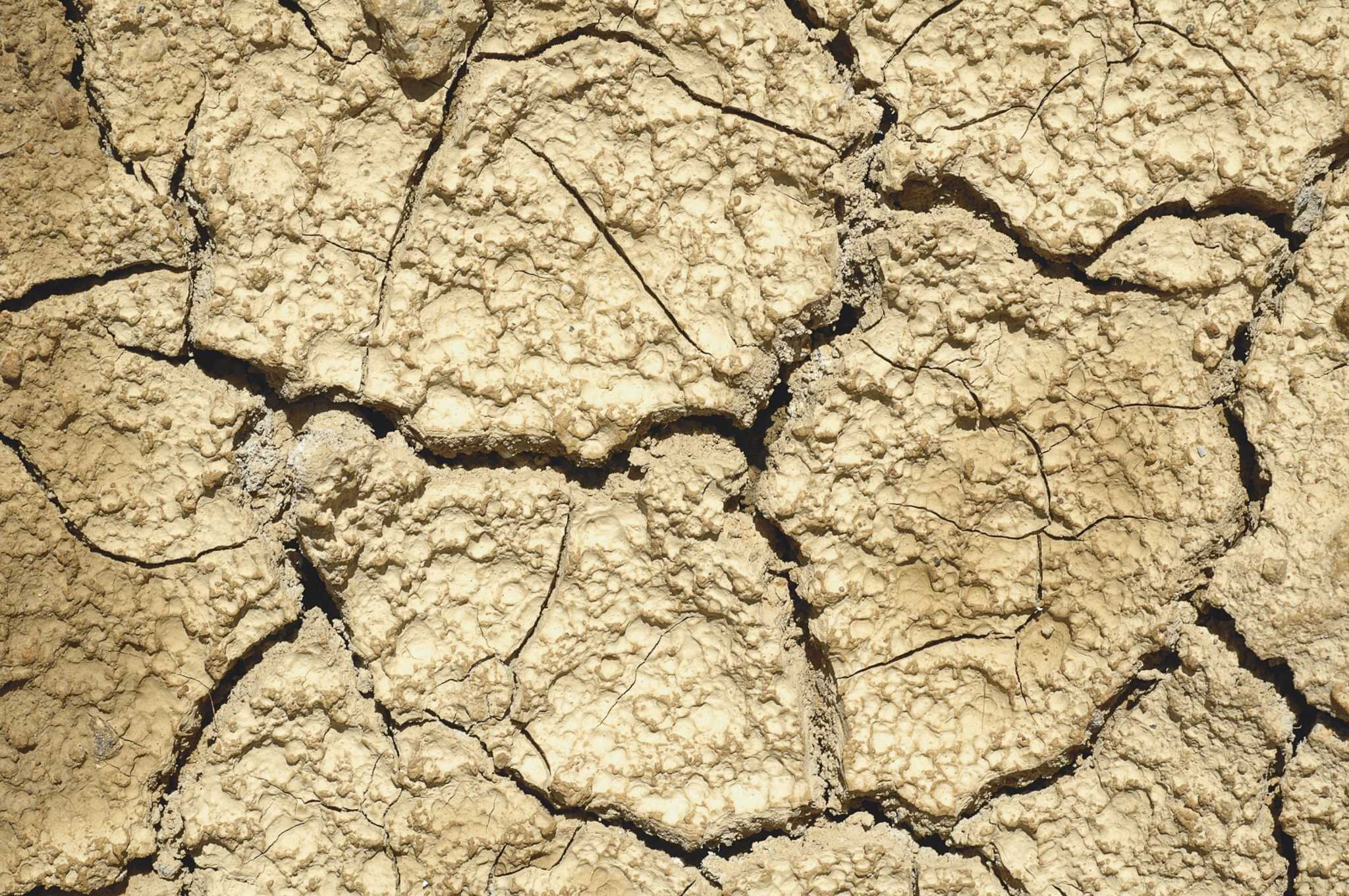 Extended drought raises some concern among farmers - Vimarsana News