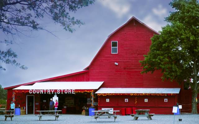 Agritourism poised as summer travel accelerates - Vimarsana News