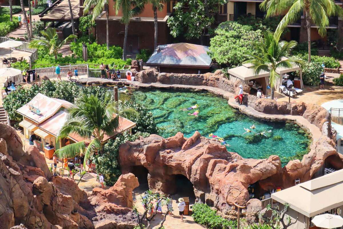 The saltwater snorkeling lagoon.