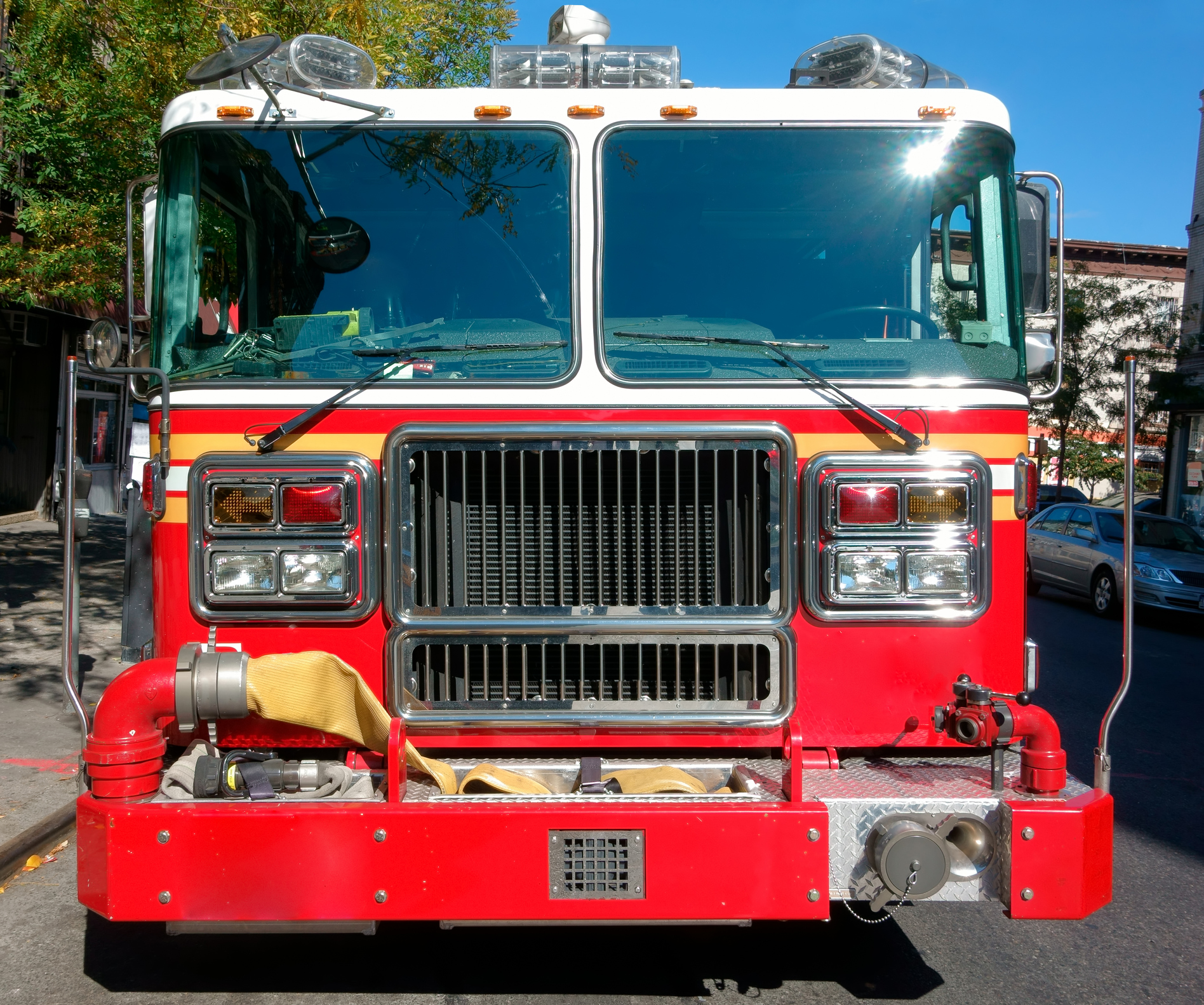 Three pets killed in Hadley fire - Vimarsana News