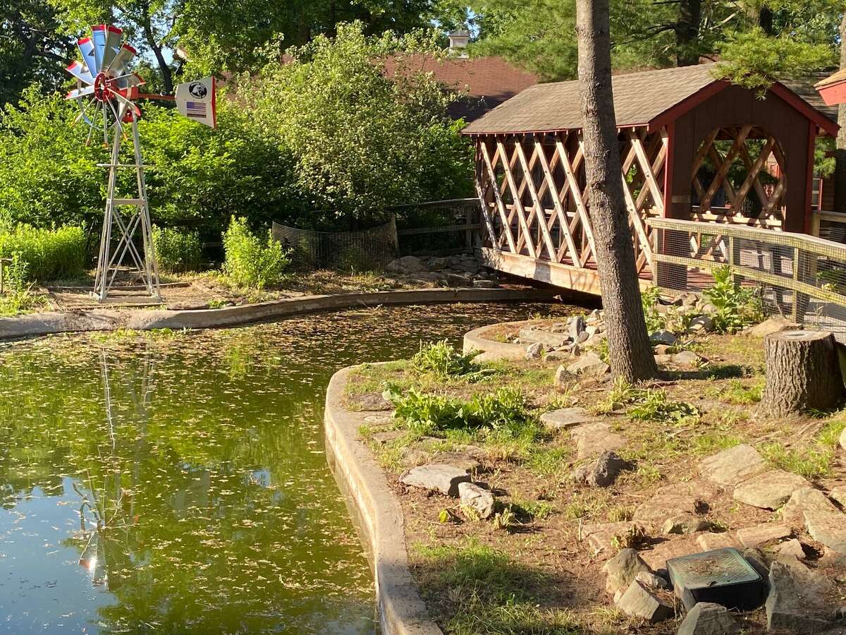Beardsley Zoo’s revamped Farmyard features goats, pigs and miniature horses