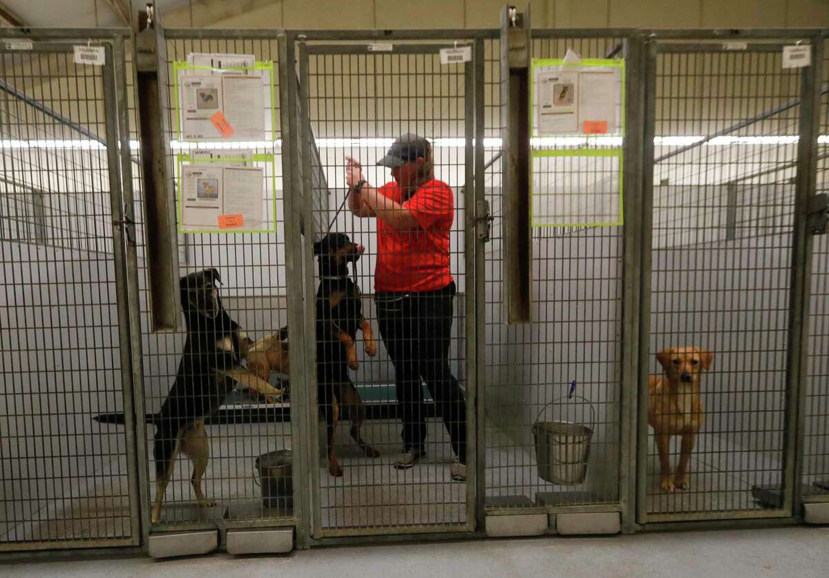 Montgomery County Animal Shelter reaches critical capacity point