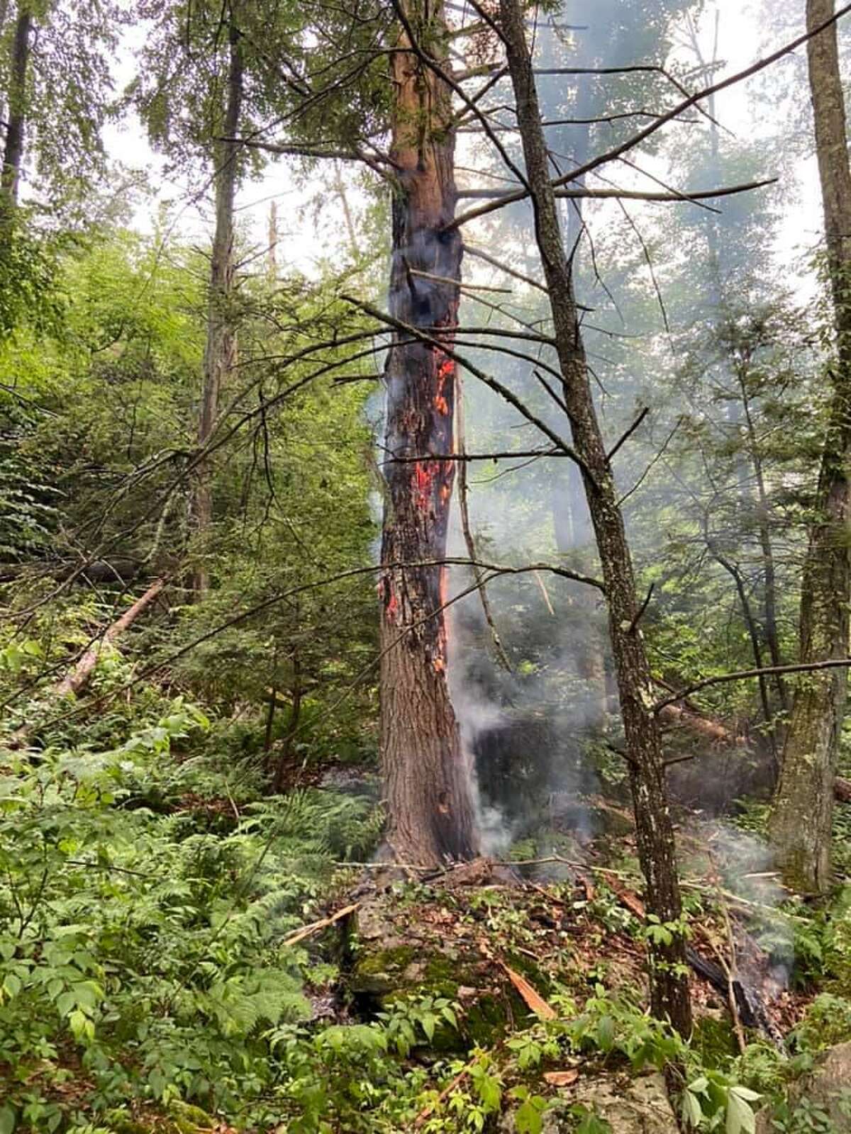 Lightning strike sparks tree fire in Brookfield