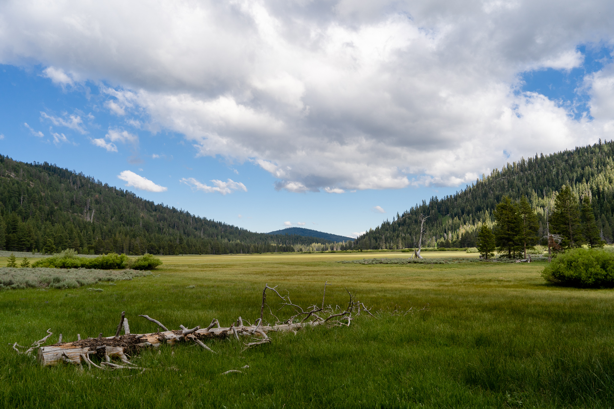 The Secret Garden Of The Sierra Has Been Off Limits For A Century Until Now