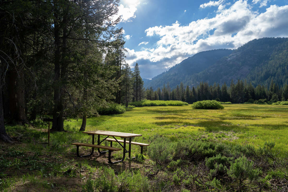 An idyllic spot for a picnic in Lower Carpenter Valley.