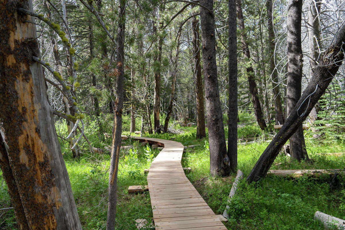 A newly constructed nature path provides access to Lower Carpenter Valley while protecting sensitive habitat.