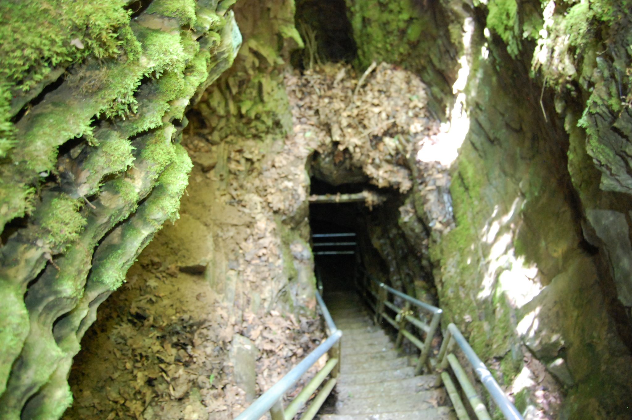 Illinois Caverns reopens after 10 years